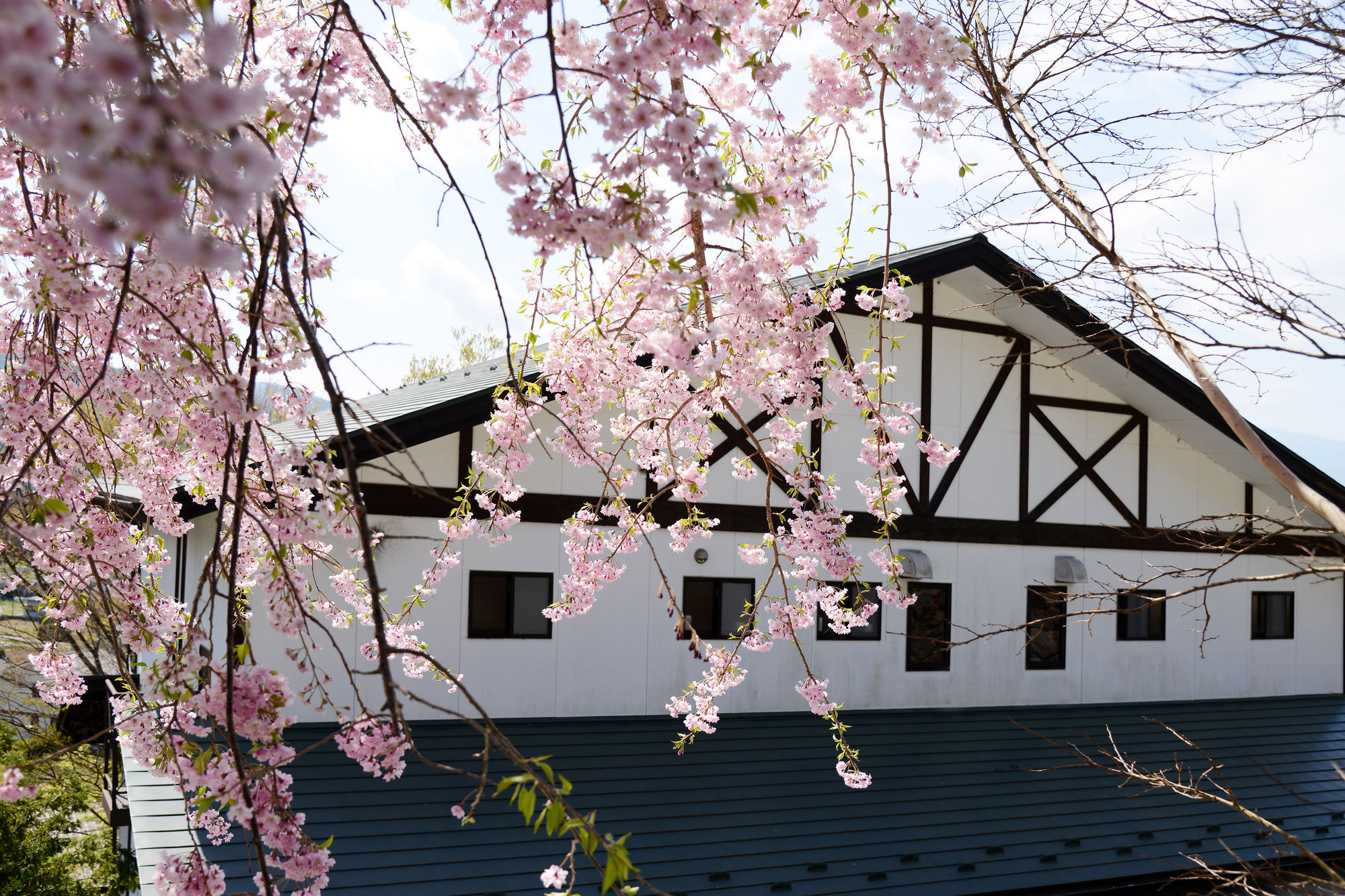 Kawaguchiko Country Cottage Ban Fujikawaguchiko Esterno foto